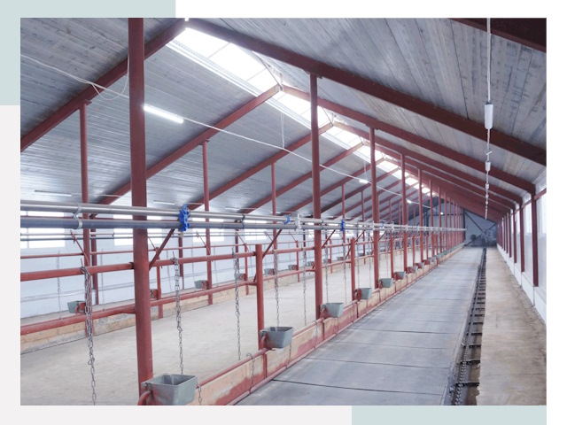 Строительство коровников в Ишиме от 624 руб.