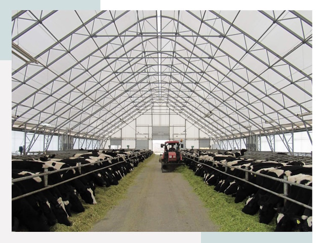 Тентовые коровники в Ишиме от 624 руб. - Надежно и доступно